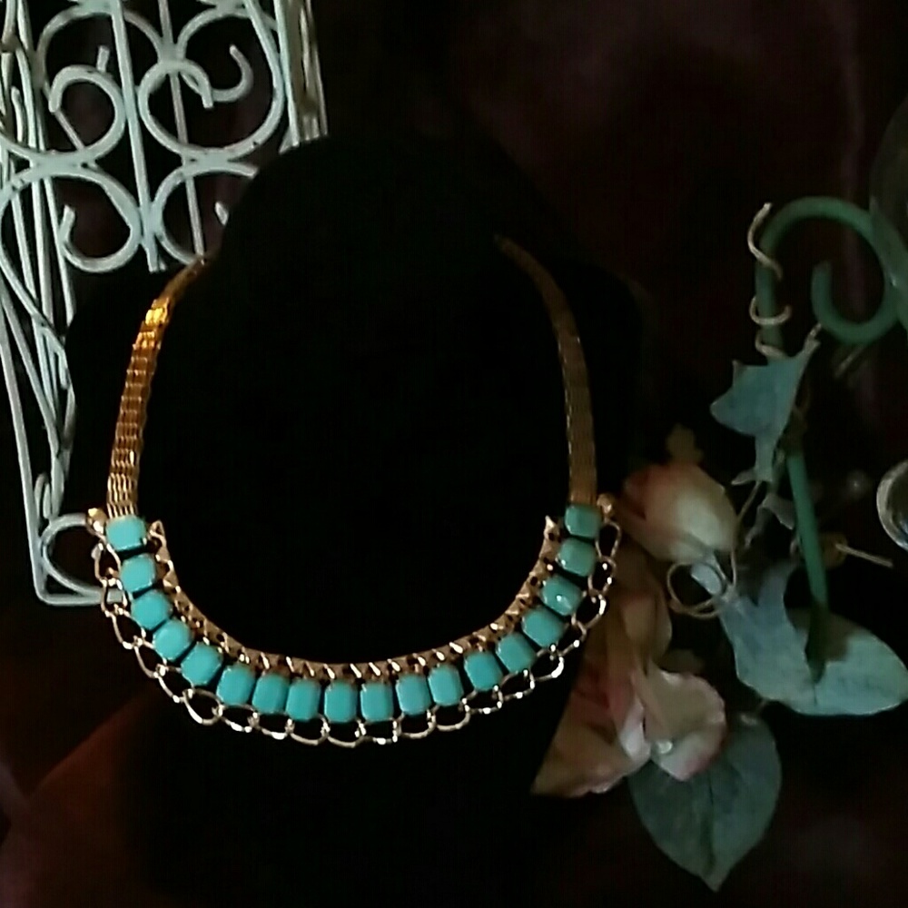 Necklace NWOT